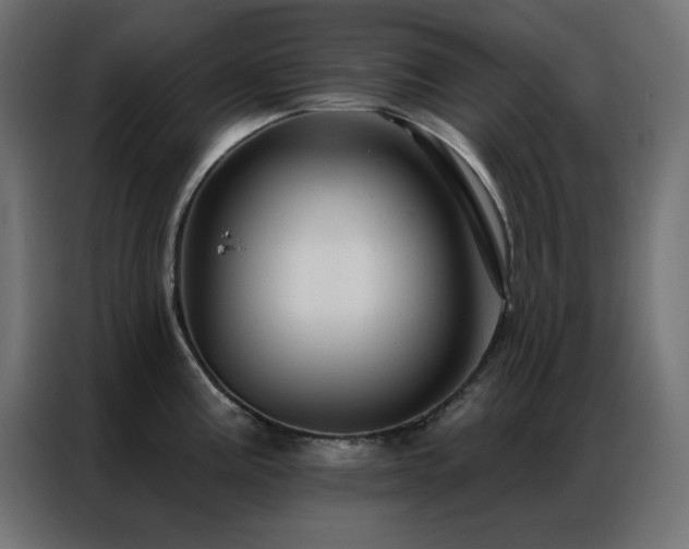 X0000086901195200704161307
