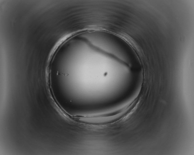 X0000086901196200704161307