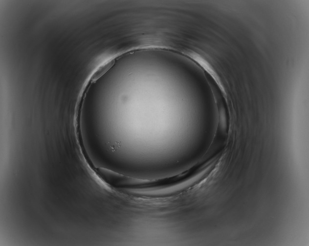 X0000086901197200704161307