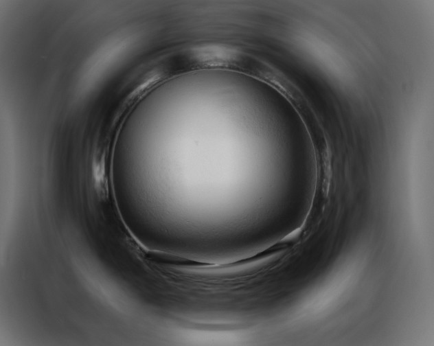 X0000086901198200704161307