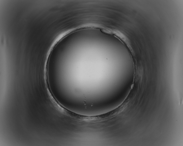 X0000086901199200704161307
