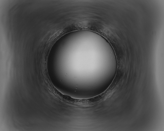 X0000086901201200704161306