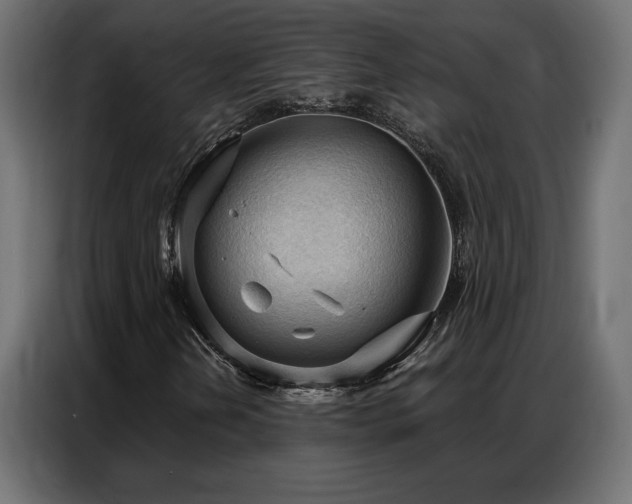 X0000086901202200704161306