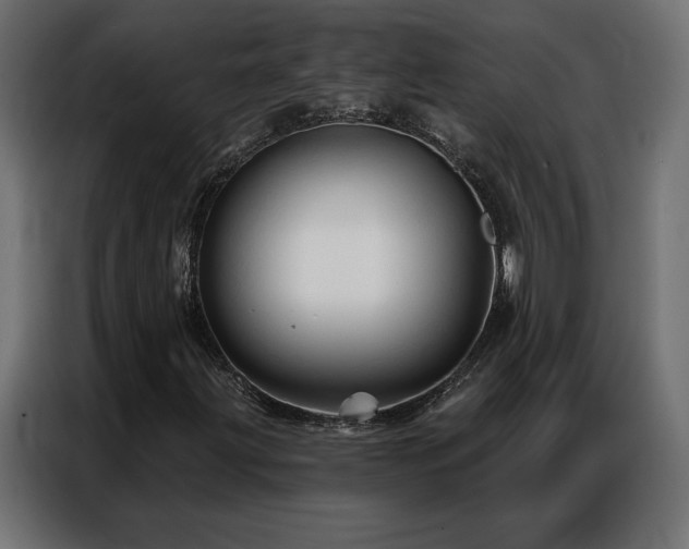 X0000086901203200704161306