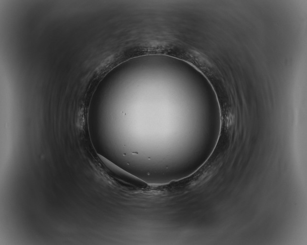 X0000086901204200704161306