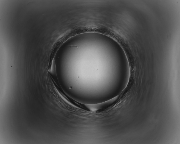 X0000086901205200704161306