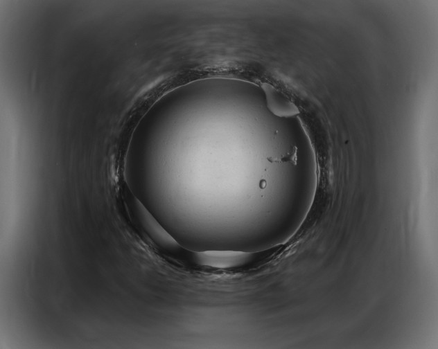 X0000086901206200704161306