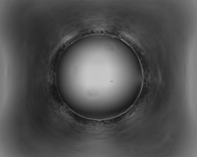 X0000086901207200704161306