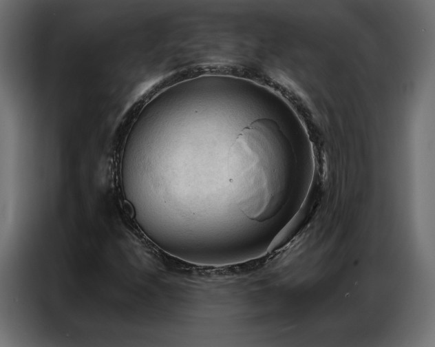 X0000086901208200704161306