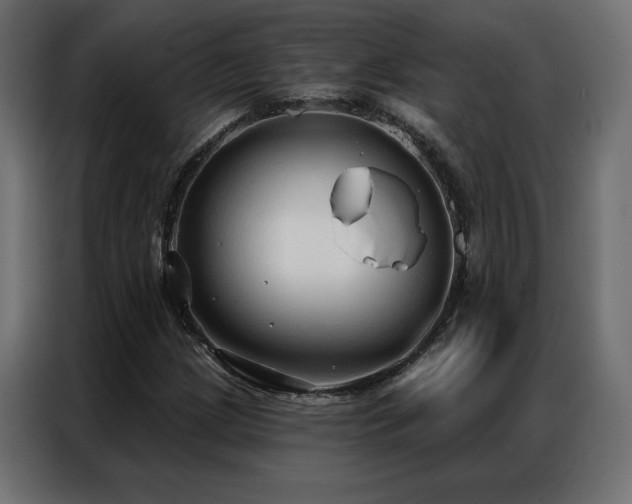 X0000086901209200704161306