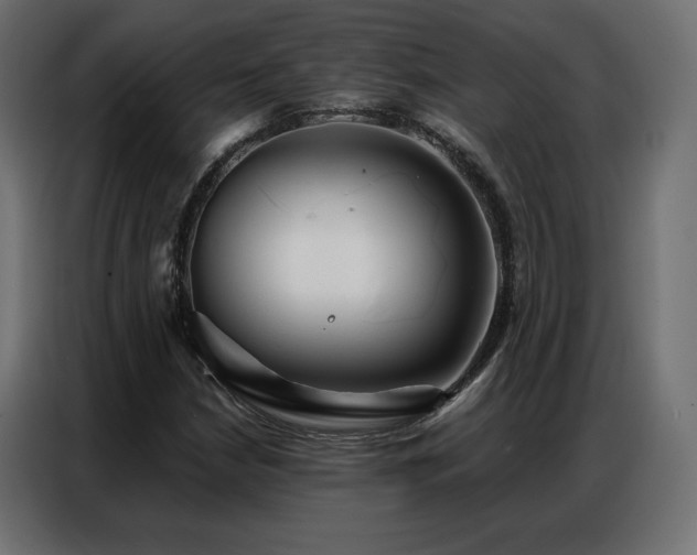 X0000086901210200704161306