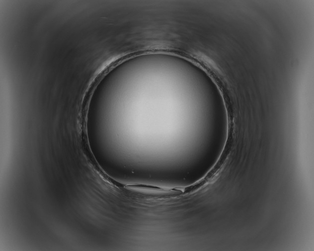 X0000086901212200704161306