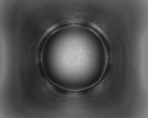 X0000086901213200704161306