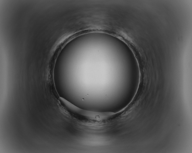 X0000086901215200704161306