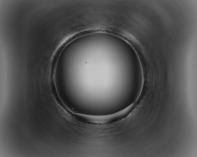 X0000086901216200704161306