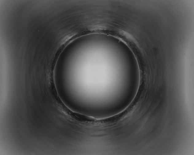 X0000086901217200704161306