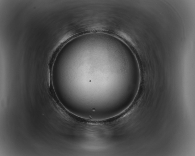 X0000086901219200704161306