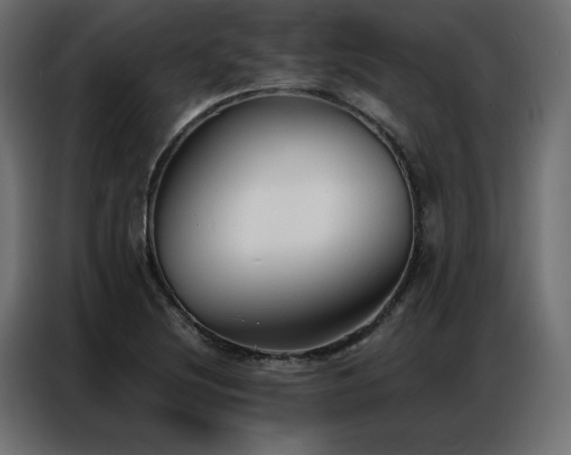 X0000086901220200704161306