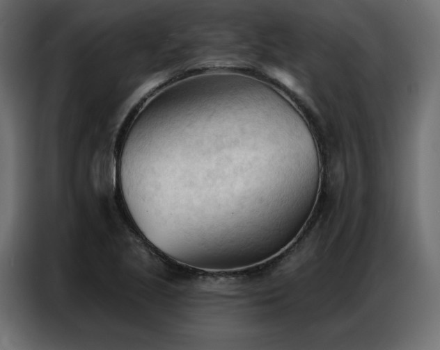 X0000086901221200704161306