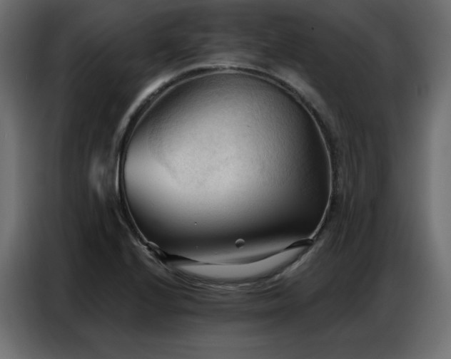 X0000086901224200704161306