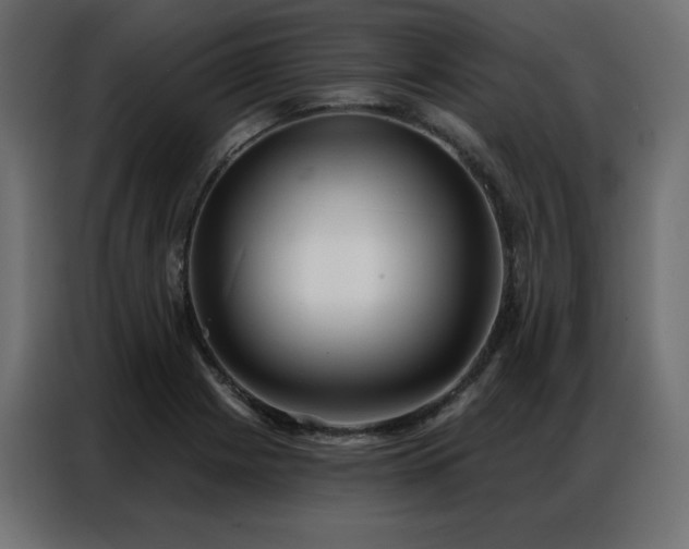 X0000086901225200704161306