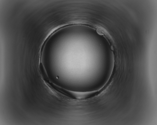 X0000086901228200704161307
