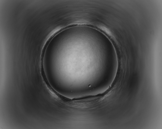 X0000086901229200704161307
