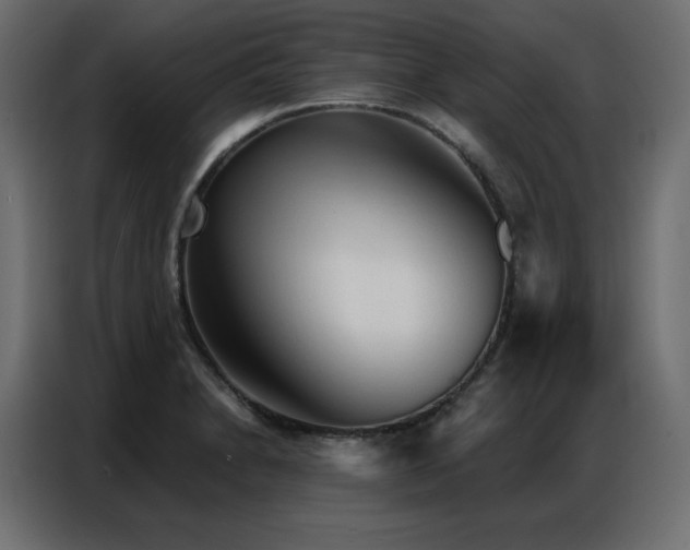 X0000086901230200704161307