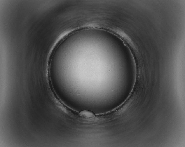 X0000086901232200704161307
