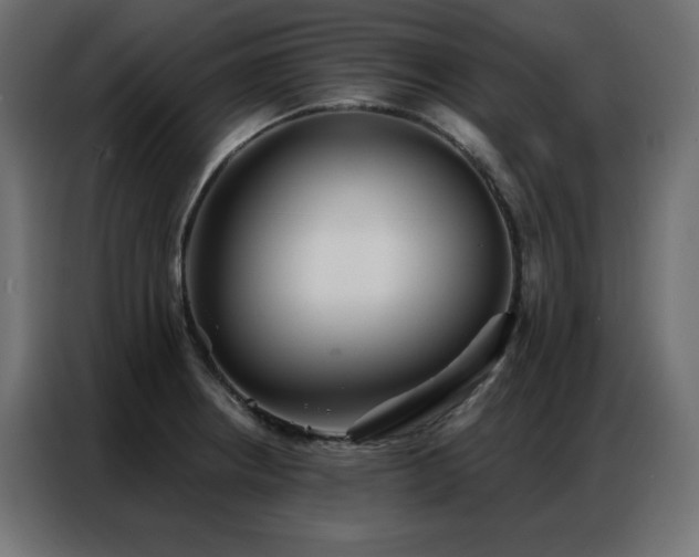 X0000086901234200704161307