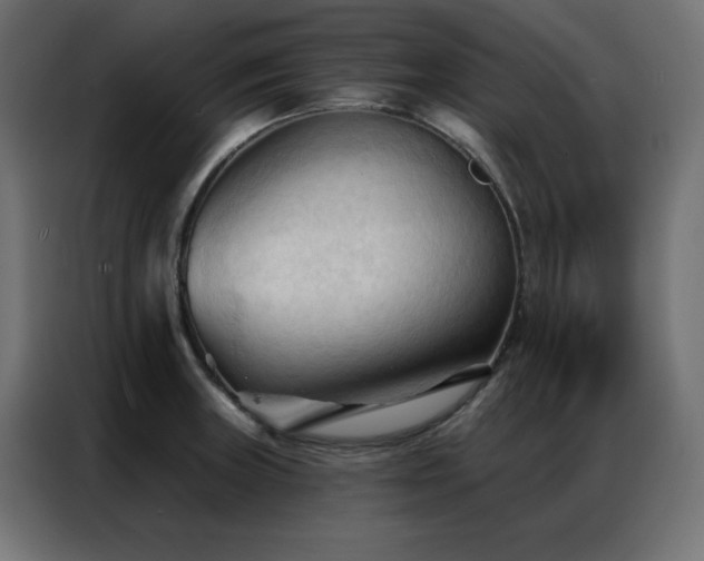 X0000086901235200704161307