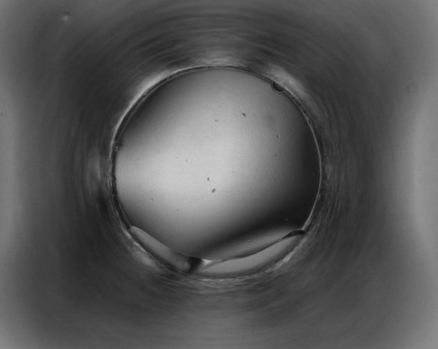 X0000086901236200704161307