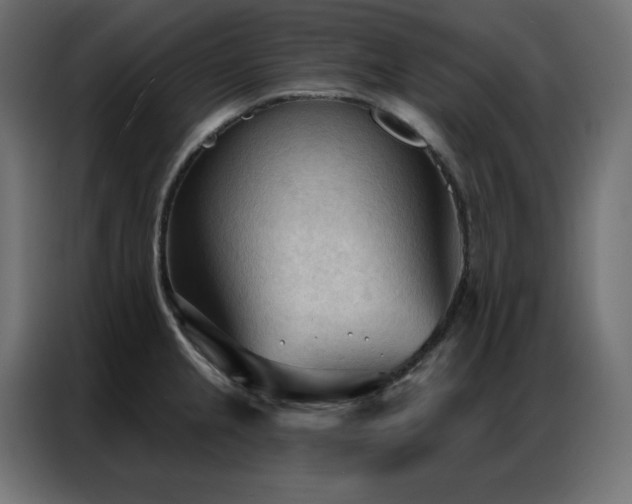 X0000086901237200704161307