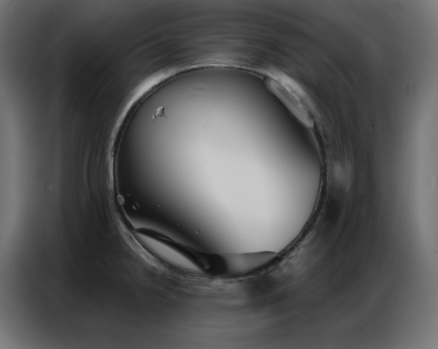 X0000086901238200704161307