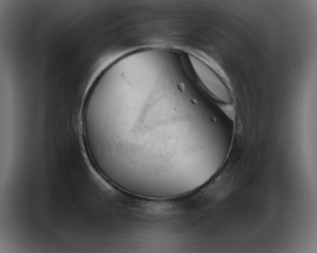 X0000086901239200704161307