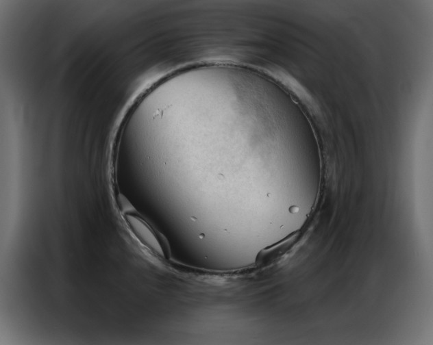 X0000086901240200704161307