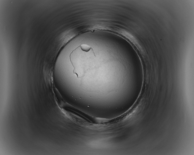 X0000086901241200704161307