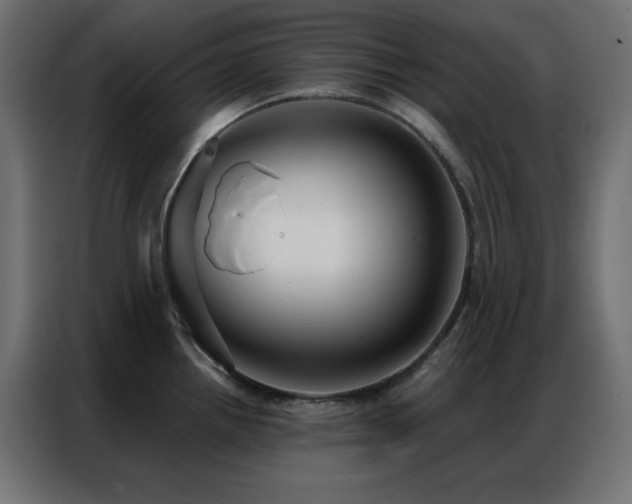 X0000086901242200704161307