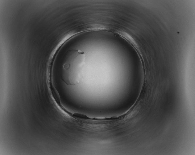 X0000086901243200704161307