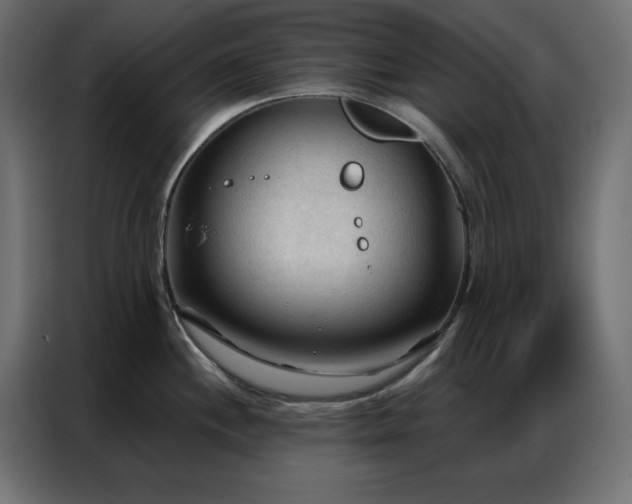 X0000086901244200704161307