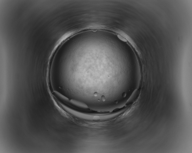 X0000086901245200704161307