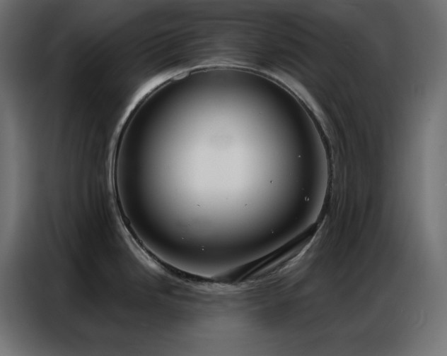 X0000086901246200704161307