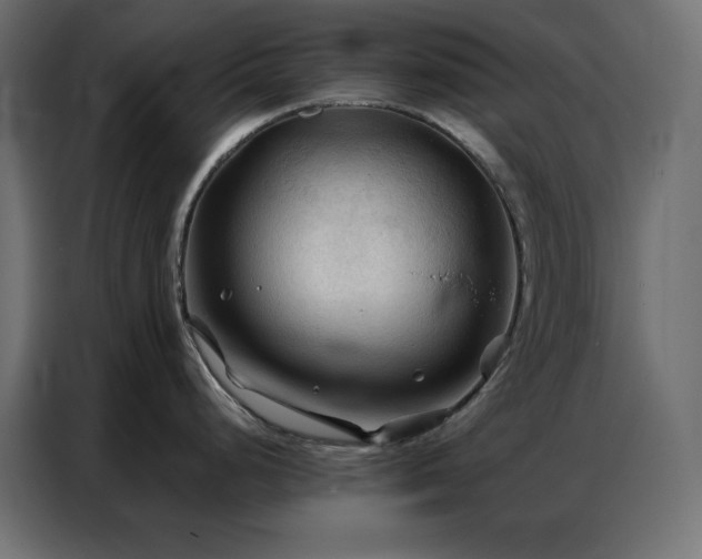 X0000086901248200704161307