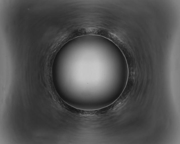 X0000086901249200704161306