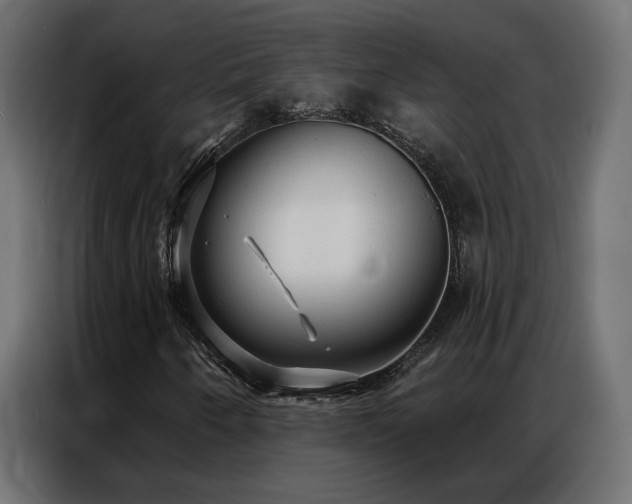 X0000086901250200704161306