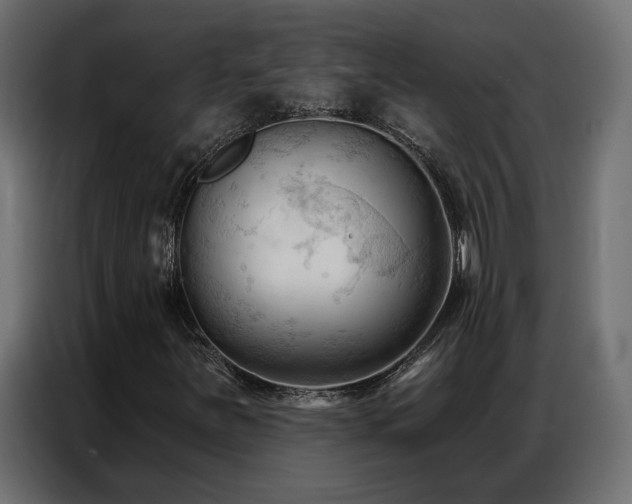 X0000086901251200704161306