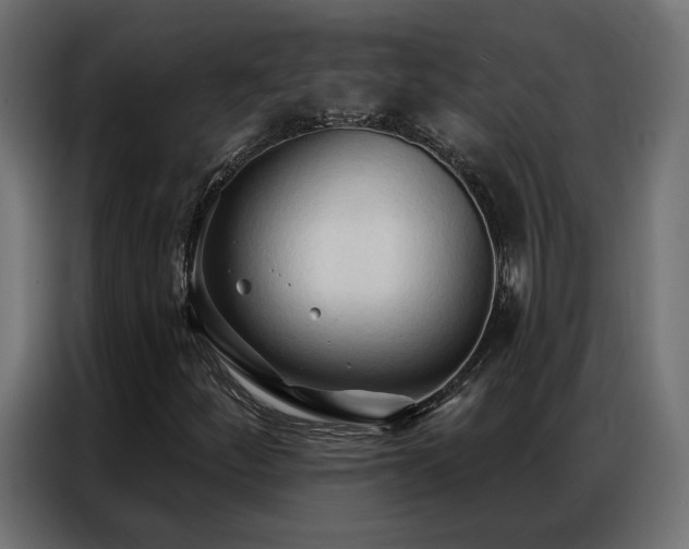X0000086901252200704161306