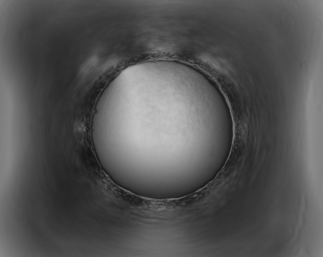 X0000086901254200704161306