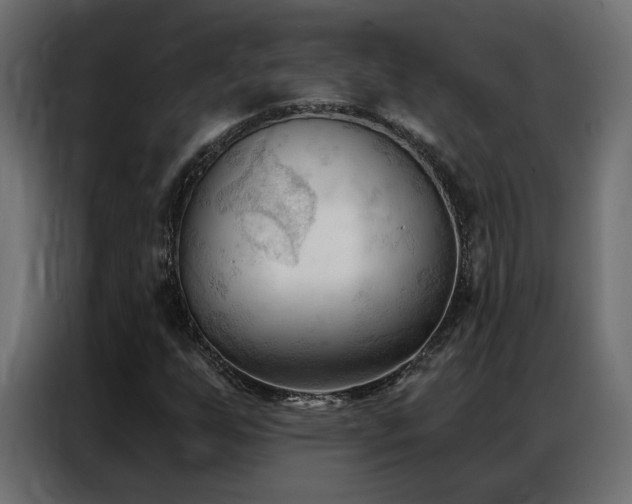 X0000086901255200704161306
