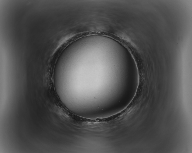 X0000086901256200704161306